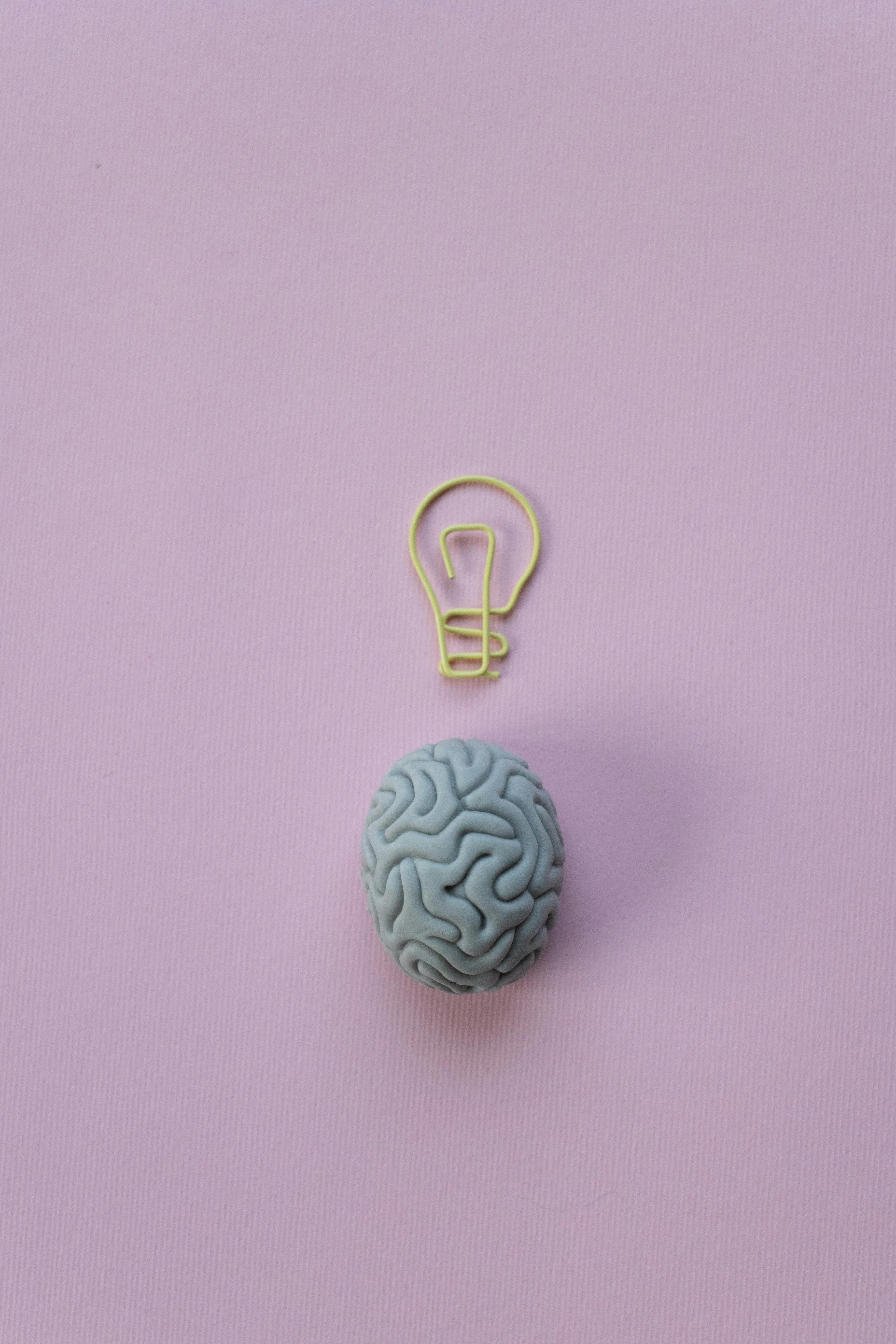 funny brain